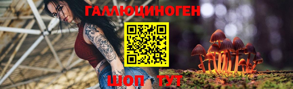 Псилоцибиновые грибы Cubensis  Вход с VPN  Дмитров 